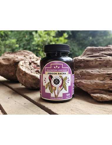 Jergon sacha 100 tabletten