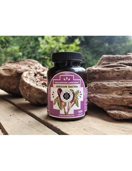 Jergon sacha 100 tabletten