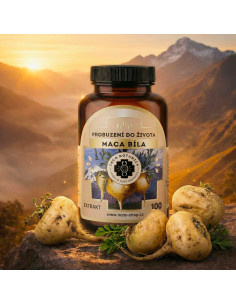 Weiße Maca 100 Tabletten 2